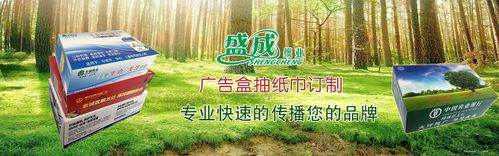 南宁市盛成纸品加工厂